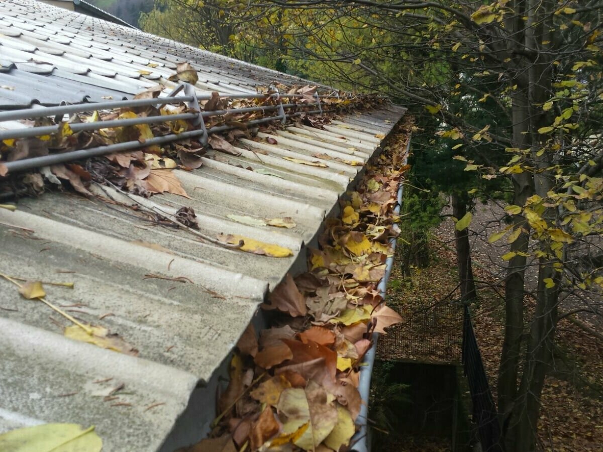 Rynna dachowa pełna jesiennych liści, czyszczenie rynien