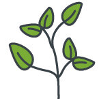 Gałązka z liśćmi opracowana do zestawienia wartości PREFA