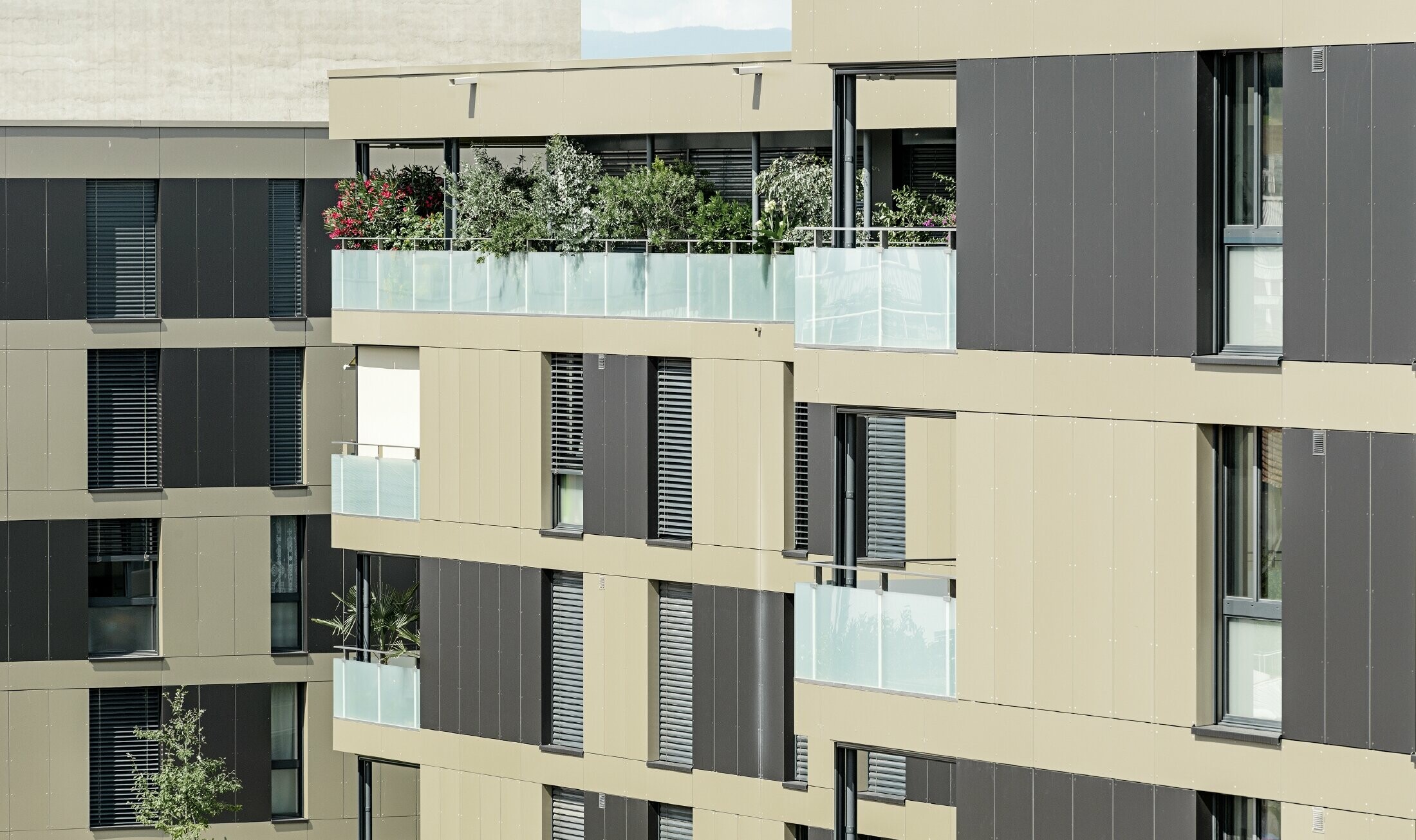 Osiedle domów mieszkalnych w kształcie kostek z elewacją aluminiową w kolorze brązu z czarno-szarymi elementami
