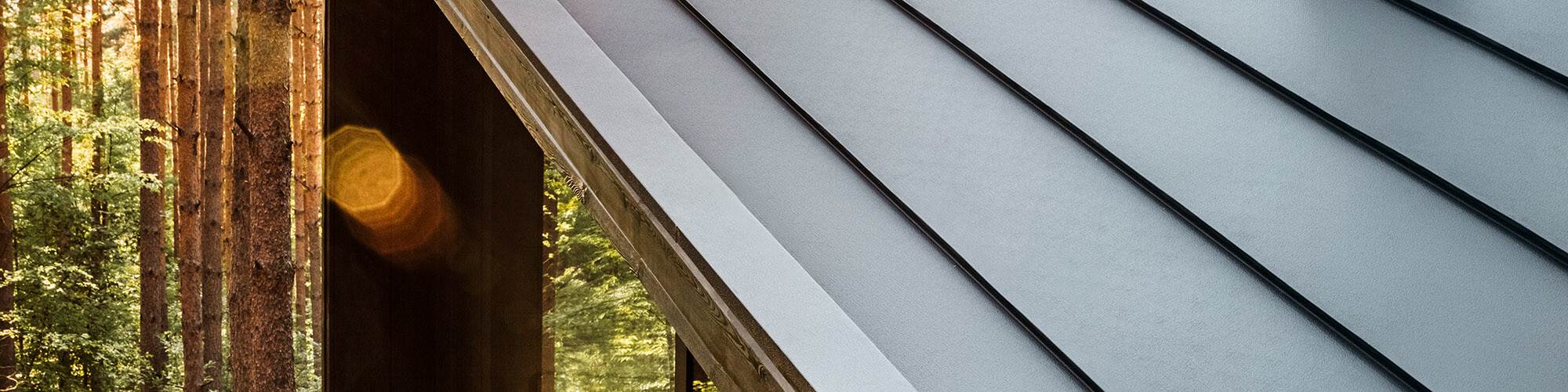 Fragment domu, z którego widać częściowo las, jego przeszklenia i aluminiowy dach.