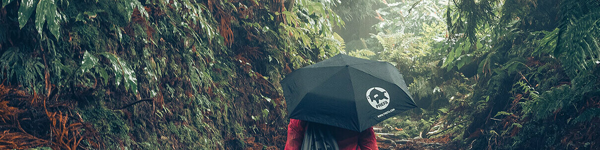Zdjęcie w lesie przedstawiające kobietę w czerwonej kurtce podczas wędrówki z parasolem PREFA i plecakiem sznurkowym symbolizuje ochronę środowiska PREFA i zrównoważony rozwój, a także gospodarkę obiegu zamkniętego i recykling